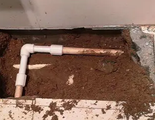 巩留测漏水哪家好