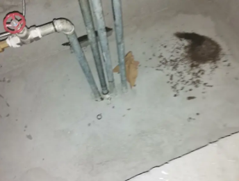 巩留卫生间测漏水价格明细