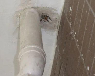 巩留漏水检测哪家好